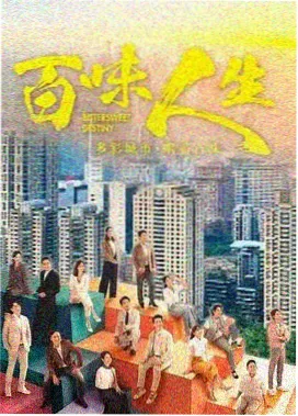 罪案剧集雾港谜案在线观看